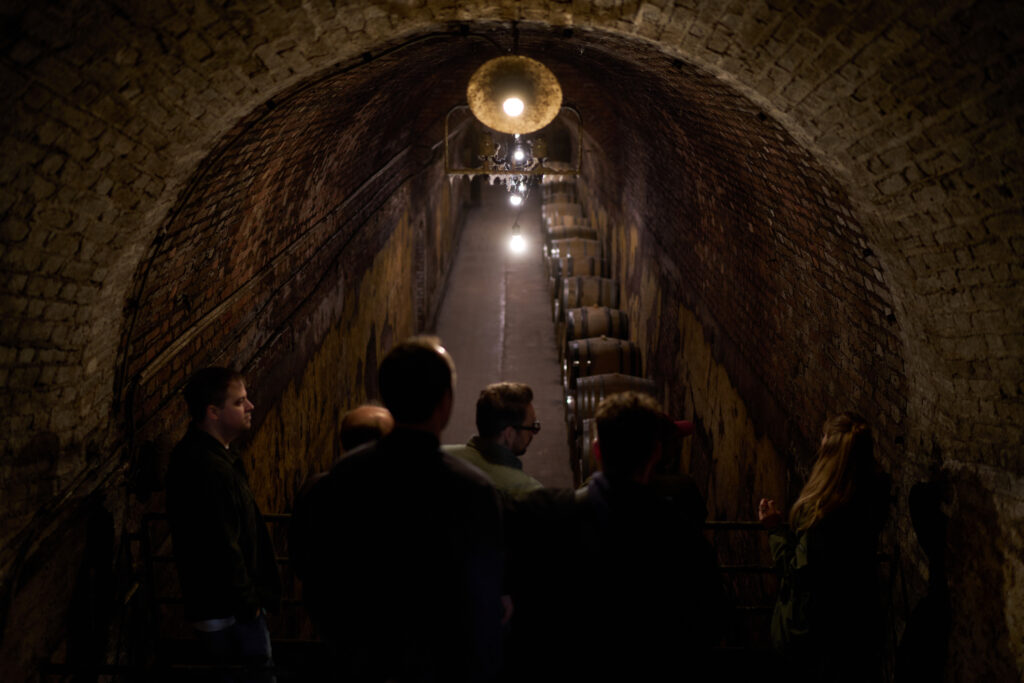 Group of people entering a dark wine cellar.